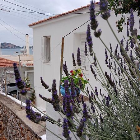 George Traditional House Pylos Exterior photo